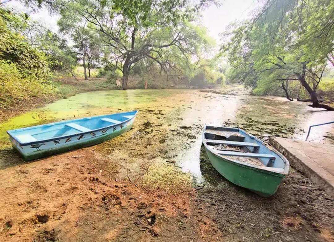 भरतपुर: घना में आज से शुरू होगी बोटिंग, न्यूनतम किराया 450 रुपए, सेल्फी लेने के लिए झोपड़ी के आकार में बनवाए 50 सिटिंग पॉइंट