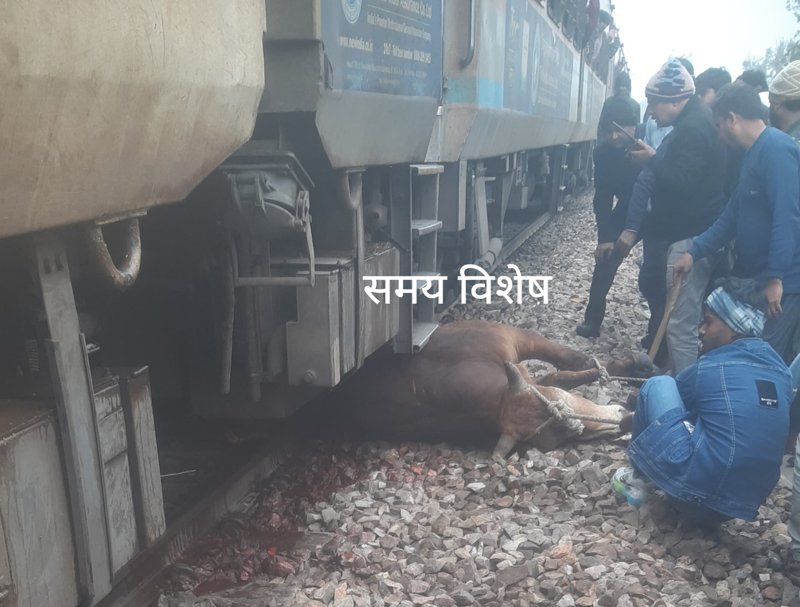 नदबई में ट्रेन से टकराकर सांड ट्रेन के नीचे फंसा: रेलवे कर्मचारियों और गौ सेवकों की टीम ने बाहर निकाला